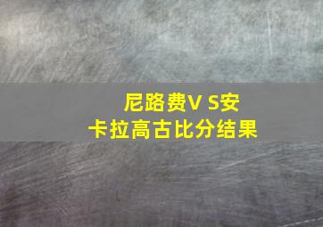 尼路费V S安卡拉高古比分结果